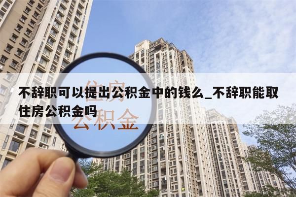 不辞职可以提出公积金中的钱么_不辞职能取住房公积金吗